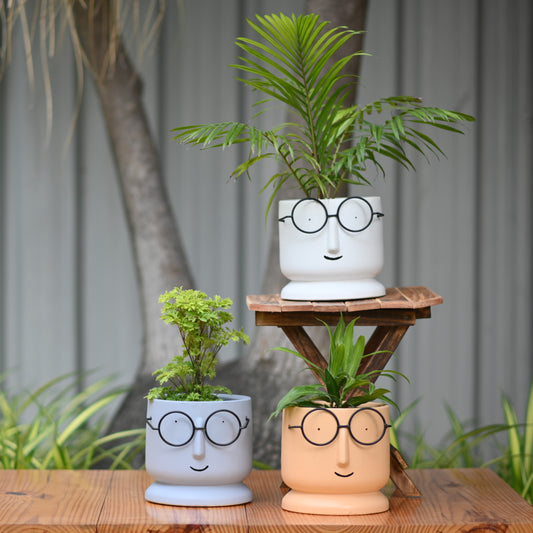 Ceramic Big Face Pot with Spectacles