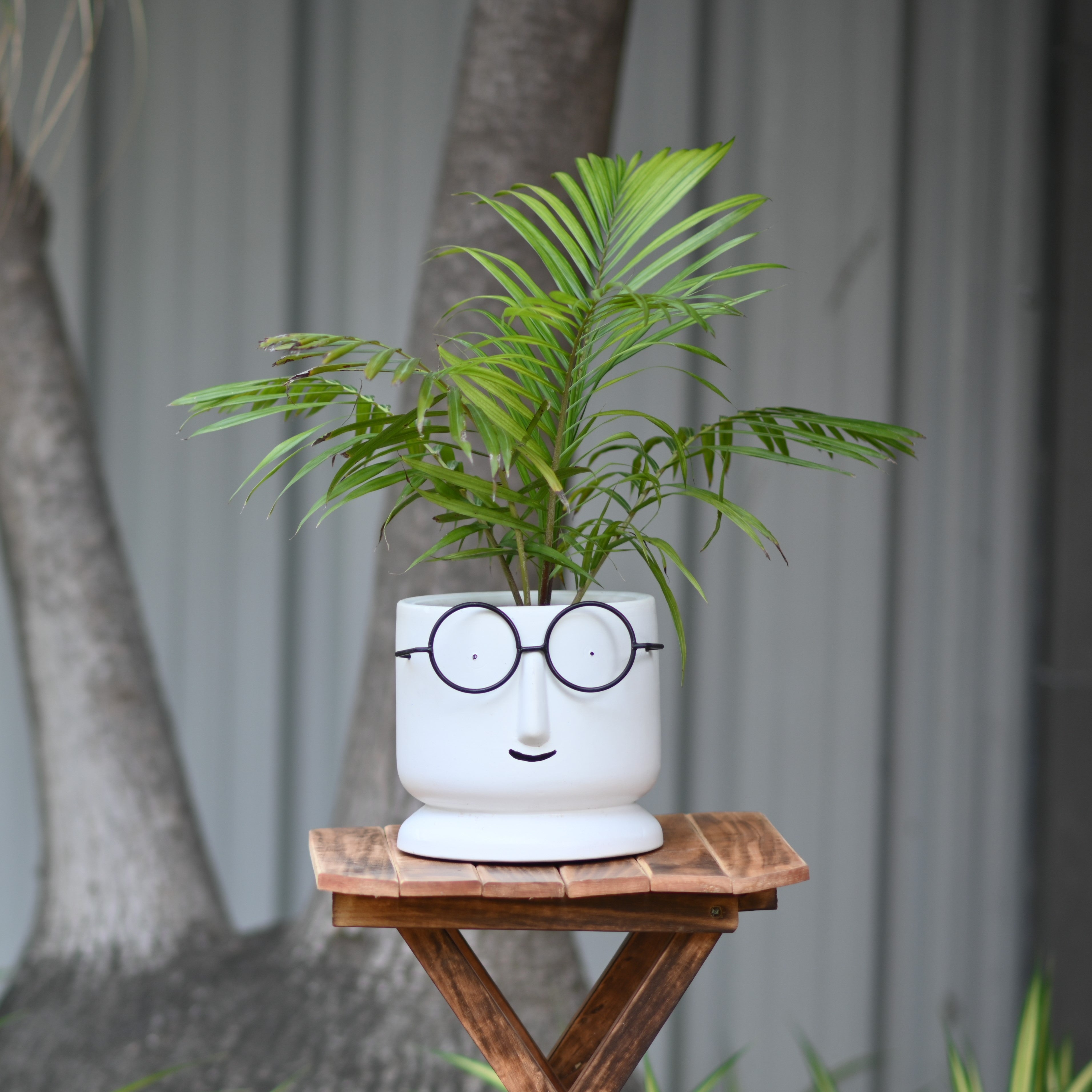 Ceramic Big Face Pot with Spectacles