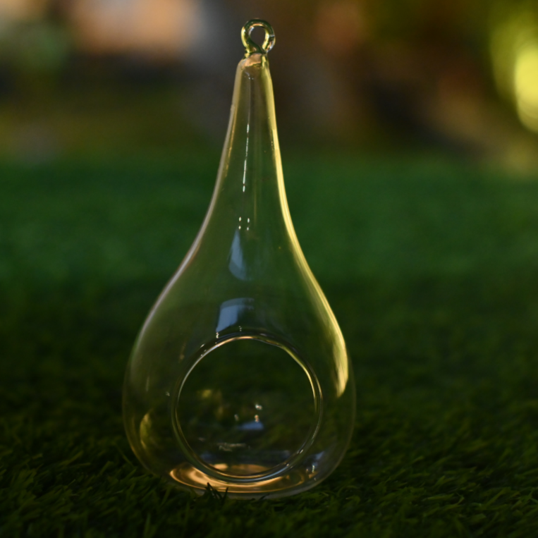 Plantlane Tear Drop Shape Glass Hanging Planter, Indoor Gardening Terrarium for Artificial Plants Rust Resistant