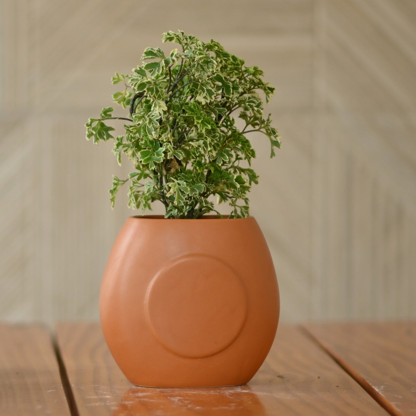 Handcrafted Terracotta Vase/Planter for Plant