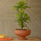 Handcrafted Terracotta Urli Pot for Plants