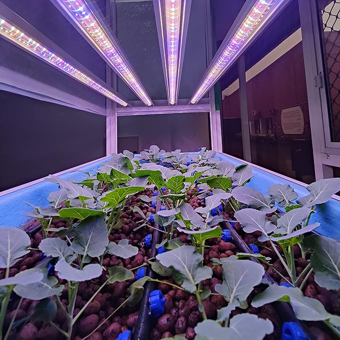 22W Full Spectrum GrowLight in 2 feet for indoor plants