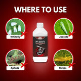 Katyayani PYRON (Pyriproxyfen 5% + Diafenthiuron 25% se) - Insecticide