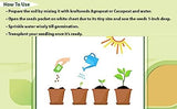 Flare Seeds 45 Varities of Vegetables 2500+ Seeds With Instruction Manual