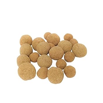 Ficus, Peepal, Arasamaram, Bodhi Seed Balls- Pack of 500