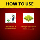 Katyayani PYRON (Pyriproxyfen 5% + Diafenthiuron 25% se) - Insecticide