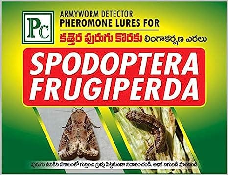 Phero Sensor Pheromone Trap and Lure for Spodoptera Frugiperd