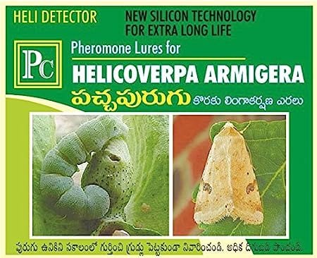 Pheromone Chemicals Combo Pack for Tomato Replacement Lures Helicoverpa Armigera, Spodoptera Litura and Tuta Absoluta Without Trap