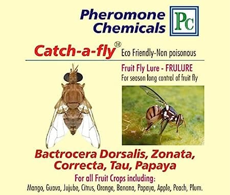 Pheromone Chemicals Catch-a-Fly Replacement Lures of Frulure and Cucurlure for Cucurbit Crops
