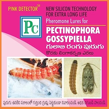 Pheromone Chemicals Pink Detector Pheromone Lure (Without Trap) for Cotton Pink Boll Worm (Pectinophora gossypiella)