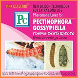 Pheromone Chemicals Pink Detector Pheromone Lure (Without Trap) for Cotton Pink Boll Worm (Pectinophora gossypiella)