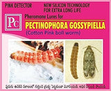 Pheromone Chemicals - Pink Detector Pheromones Trap and Lure for Pink-Boll Worm (Pectinophora gossypiella)