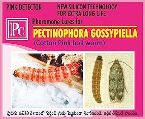 Pheromone Chemicals Combo Pack for Cotton - Pheromone Traps and Lures Complete for Helicoverpa armigera, Spodoptera litura and Pectinophora gossypiella (Pink boll Worm)