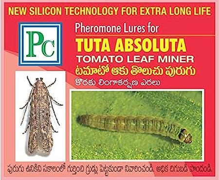 Pheromone Chemicals- Tuta Detector Pheromone Lure (Without Trap) for Tuta Absoluta (Tomato Leaf Miner)