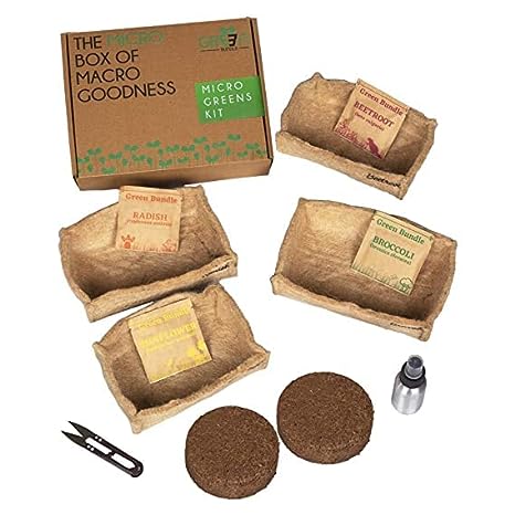 Microgreens Growing Kit- 4 Seed(Radish, Basil, Sunflower and Beetroot)With Sprayer & Trimmer