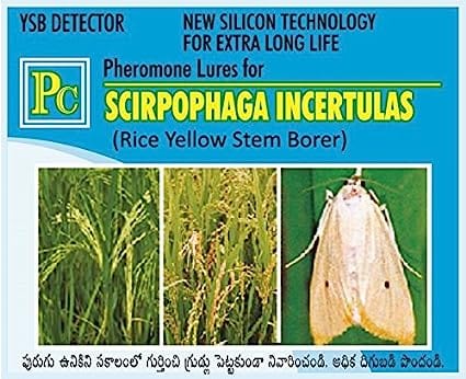 Pheromone Chemicals YSB Detector Pheromones Lures for Scirpophaga incertulas (Rice Yellow Stem Borer)