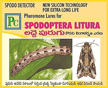 Combo Pack for Tomato Replacement Lures Helicoverpa Armigera, Spodoptera Litura and Tuta Absoluta Without Trap