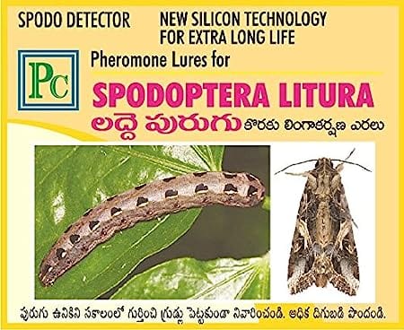 Pheromone Chemicals Combo Pack for Tomato Replacement Lures Helicoverpa Armigera, Spodoptera Litura and Tuta Absoluta Without Trap