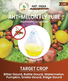 Melon Fly Lure (Bactrocera cucurbitae)