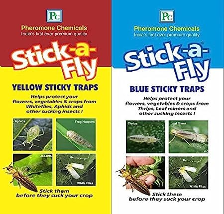 Stick-a-Fly Pheromone Chemicals Combo Pack of Yellow Sticky Traps & Blue Sticky Traps