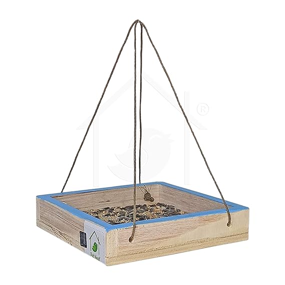 Wild Hanging Bird Feeding Tray