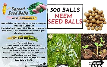 2 Slinghot (Gulel) With Seed Balls- Pack of 500