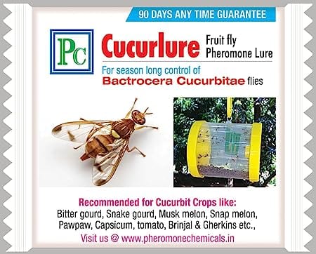 Pheromone Chemicals Catch-a-Fly Cucurlure Substitute (Replacement Lure Without Trap) for Bactrocera cucurbitae