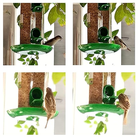 4 Port Hanging Bird Feeder