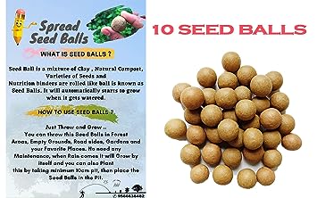 Slinghot (Gulel) With 10 Seed Balls