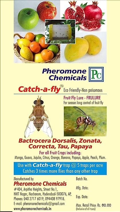 Catch Fruit Fly Trap with Frulure for Fruit Crops and Vegetables