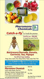 Catch Fruit Fly Trap with Frulure for Fruit Crops and Vegetables