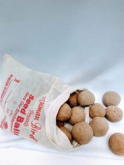 Fig, Ficus Carica, Atthimaram, Cluster Seed Balls- Pack of 20