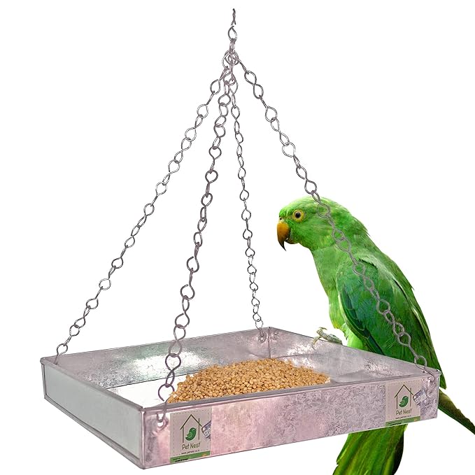 Galvanized Metal Wild Hanging Bird Feeding Tray