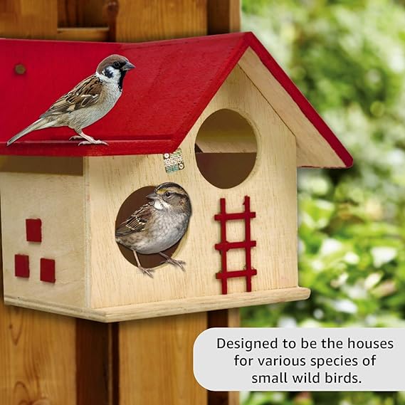 Wooden Bird House for Balcony and Garden Hanging for Love birds