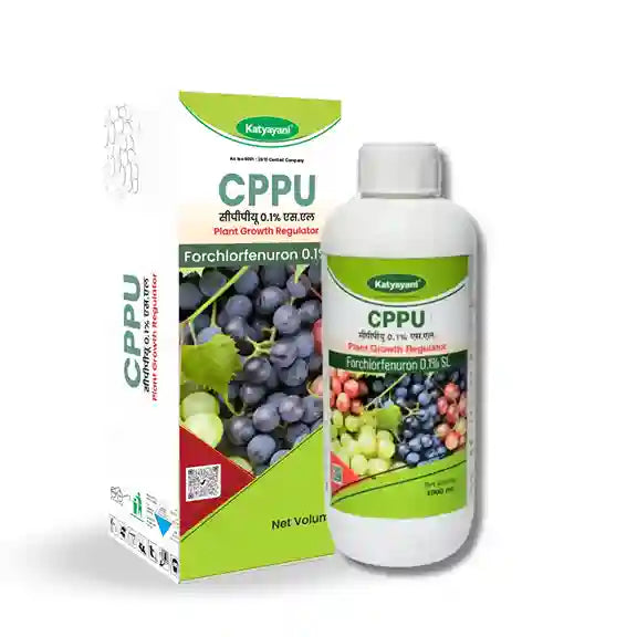 Katyayani CPPU (Forchlorfenuron) 0.1% L | Plant Growth Regulator for Enhanced Crop Development