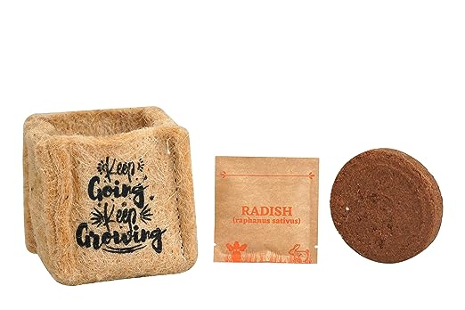 Seed Starter Kit (Pack Of 2) | With 2 Seed Packs and Soil Cake