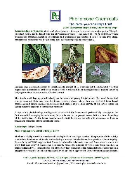 Pheromone Chemicals Leuci Detector Lures for Leucinodes Orbonalis Brinjal Fruit and Shoot Borer Without Trap