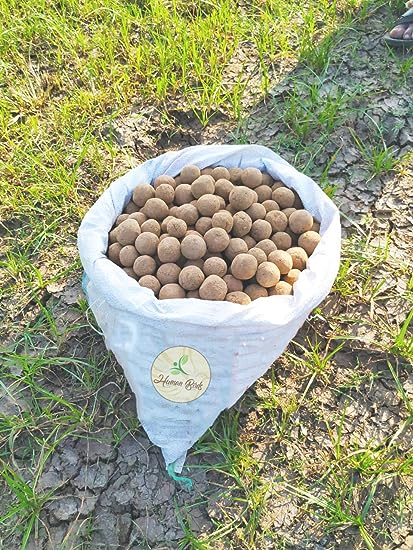 Neem, Vepa Ginjalu, Azadirachta Indica Seed Balls- Pack of 30