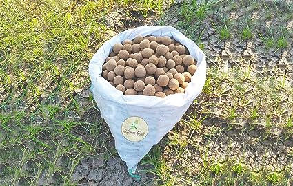 (Arasamaram, Ficus Religiosa, Peepal), (Attimaram, Common Fig, Umbar, Bodda), (Koiya, Guava, Amrood) Mixed Seed Balls