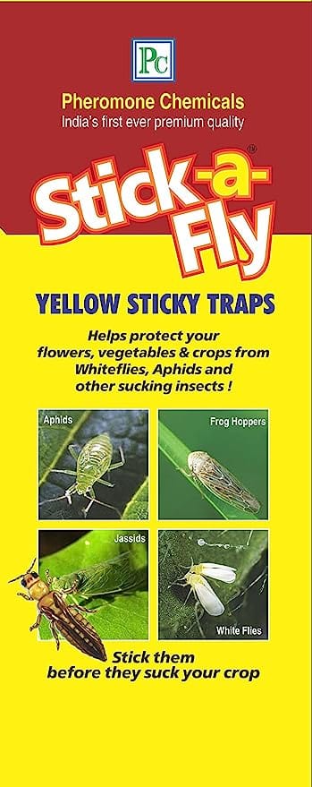 Stick-a-Fly Pheromone Chemicals Combo Pack of Yellow Sticky Traps & Blue Sticky Traps