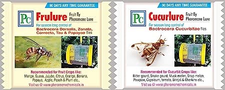 Pheromone Chemicals Catch-a-Fly Replacement Lures of Frulure and Cucurlure for Cucurbit Crops