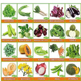 Flare Seeds Vrisa Green 30 Varieties of Vegetable & Fruit Seeds