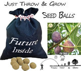 (Arasamaram, Ficus Religiosa, Peepal), (Attimaram, Common Fig, Umbar, Bodda), (Koiya, Guava, Amrood) Mixed Seed Balls