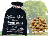 Banyan Seed Balls- Pack of 1000
