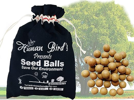 Amla Seed Balls- Pack of 50