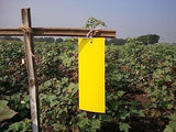 Stick-a-Fly Plastic Yellow Sticky Traps- Pack of 25