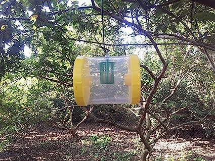 Catch Fruit Fly Trap with cucurbits All Gourds and Melons