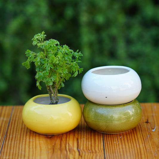 Glosy Round Ceramic Planter, small