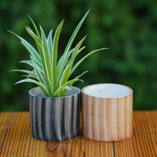 Rustic Striped Ceramic Planter/ Pot For Plants