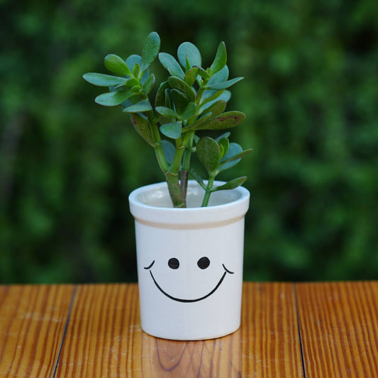 Cheerful Smiley Face Ceramic Planter for Plants